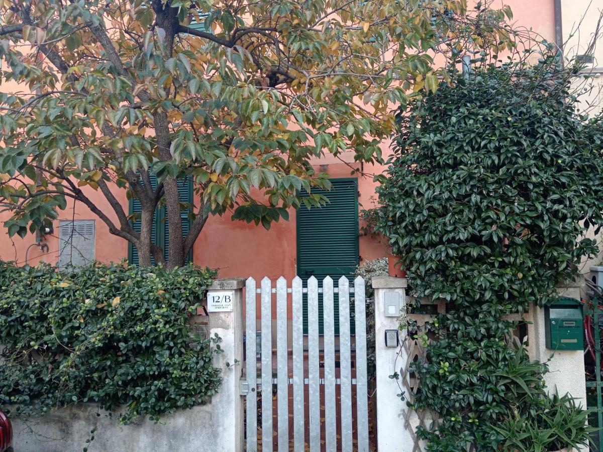 Maioliche Cozy Apartment Pisa Exterior photo