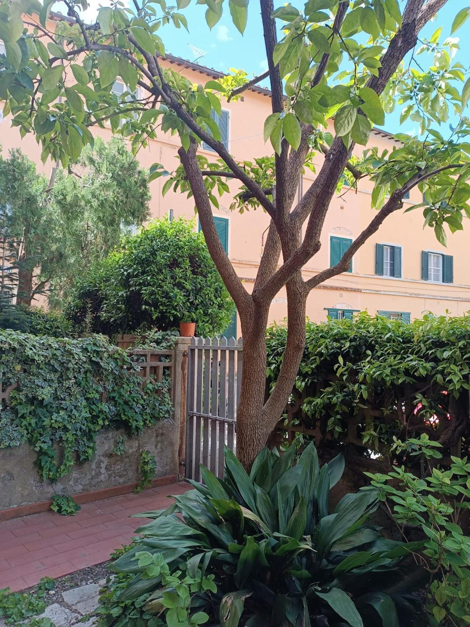 Maioliche Cozy Apartment Pisa Exterior photo
